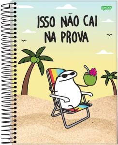 Caderno Universitário Capa Dura 20 Matérias 320 Folhas Flork Jandaia